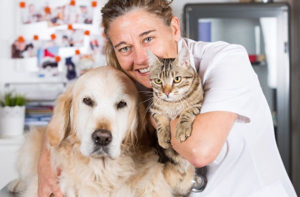 Servicios para veterinarios
